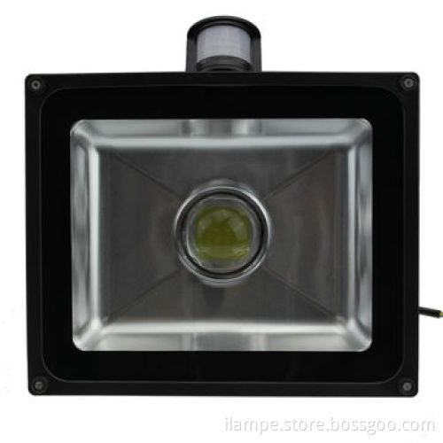 Hot sale 20W LED flood light with sensor and lens